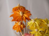 Vente en gros de véritables fleurs d'hibiscus naturelles, orchidées, fleurs de marguerites séchées pour le bricolage, matériaux de bouquet, décoration de la maison