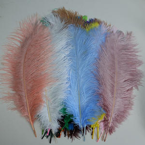 Plumas de avestruz teñidas de 35-40cm para guía de <span class=keywords><strong>camino</strong></span> de boda decoración de iluminación de arte Floral accesorios de escenario grandes coloridos - Product Image 1