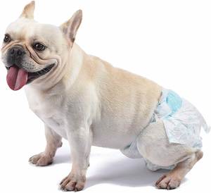 Coussinets absorbants écologiques taille M pour animaux mâles, solution économique pour l'incontinence, style simple, avec pelle à excréments pour petits animaux - Product Image 5