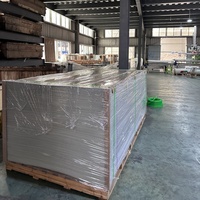 Panneaux muraux acryliques transparents personnalisables de 2mm Matériaux de construction en plastique respectueux de l'environnement Coupe différente disponible