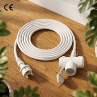 Câble d'extension Linsheng Europe 10m blanc SGS H07RN-F Schuko avec couvercle étanche IP44 16A 250V triple prise pour électronique grand public