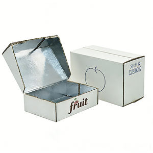 Boîtes Isolées en Aluminium Personnalisées avec Rabat en Aluminium, Emballage d'Isolation pour Chaîne du Froid, Emballage pour Aliments Frais et <span class=keywords><strong>Congelés</strong></span>, Caisses en Carton Ondulé pour Avion - Product Image 1