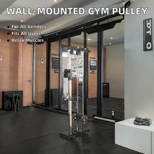 Système de poulies doubles réglables OEM mural pour entraînement de fitness à domicile et station de câbles de musculation - Product Image 2