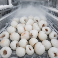 Graad A Halal IQF Diepvries Gepelde Ontpitte Lychee Groothandel |   100% natuurlijk versgevroren lycheevlees voor sappen & desserts