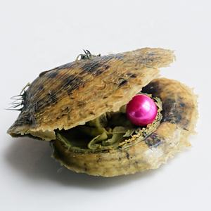 ไข่มุกน้ำจืดเอ็ดดิสันเพิร์ล 10-14 มม. ไข่มุกอะโกย่าจากหอยนางรม ทรงกลม/เกือบกลม หลากสี - Product Image 1