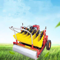 Planteuse d'ail manuelle à pousser, nouveau design, pour l'agriculture