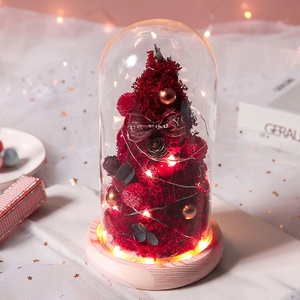 TC Wholesale Led <strong>Lights</strong> Star Preserved Rose Flower Moss Plants Christmas Gifts Decorations Supplies Christmas <strong>Tree</strong> <strong>in</strong> Glass Dome - Product Image 4