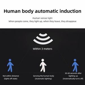 Nueva Simulación de Monitoreo, Sin Facturas de Electricidad Durante Todo el Año, Carga Solar Automática, Inducción Automática del Cuerpo Humano - Product Image 5