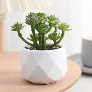 Mini Plante Succulente Artificielle Décoration de Maison Utilisée pour Décoration de Bureau Plante Artificielle Verte Décoration Succulente - Product Image 6