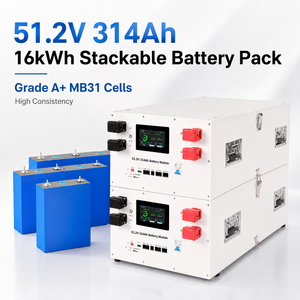 Stock Pologne 15kwh 16Kwh 20kwh 30kwh 32kwh 50kwh 48V 51.2V 280Ah 300Ah 314Ah 600Ah Pack de batteries Lifepo4 pour stockage d'énergie domestique - Product Image 1