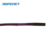 ROPENET Yüksek Performanslı Polyester Dokuma Askı İpi Ağır Yük Taşıma CE Sertifikalı 1T 3M Kaldırma Güvenliği İçin: Faktör = 7:1