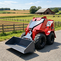 Promotion : Mini-chargeuse compacte sur pneus Euro 5 CE, Diesel, pour l'agriculture et le jardinage, multifonctionnelle