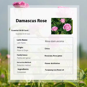 Organic Distilled HighQuality <strong>Essential</strong> <strong>Oil</strong> Aromatherapy Skincare Raw Material Wholesale China Damascus <strong>Rose</strong> <strong>Essential</strong> <strong>Oil</strong> - Product Image 3