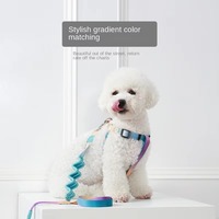 Ensemble de colliers pour animaux de compagnie en alliage et polyester de luxe personnalisés Laisse pour chien antidéflagrante avec motif d'impression de luxe Harns personnalisés