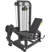 Appareil de fitness professionnel de haute qualité pour l'entraînement de force en salle : Extension dorsale et entraîneur abdominal