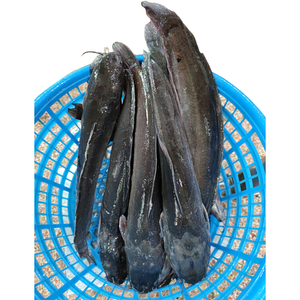 Vente en gros de poisson-chat congelé d'Egypte ferme Clarias Fuscus élevée de Chine - Product Image 5