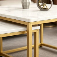 Ensemble de 2 tables basses gigognes en métal, style moderne et luxueux, en acier inoxydable doré, carrées, pour le salon