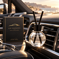 Diffuseur de parfum pour voiture, flacon rond noir suspendu 14 ml, diffuseur d'arômes pour voiture avec boîte