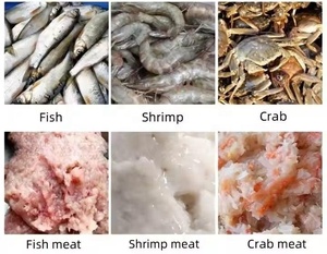 Removedor de huesos de pescado pequeño, máquina colectora de carne de pescado, máquina de procesamiento de carne de pescado, nuevas ideas de productos - Product Image 2