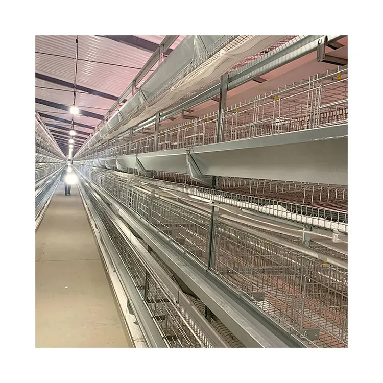 3 katlı a-frame komple otomatik Pullets yetiştirme tavuk kafesi sistemi tavuk çiftliği pil Coop ile temizlik