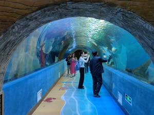 Vente directe d'usine grand <span class=keywords><strong>tunnel</strong></span> <span class=keywords><strong>sous</strong></span>-<span class=keywords><strong>marin</strong></span> d'aquarium acrylique écologique personnalisé planification d'ingénierie d'océanarium - Product Image 4