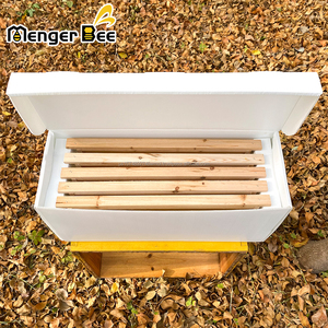 UK National Poly Hive Nuc 5 <b>Frames</b> Foldable <b>Plastic</b> Nuc Box - Product Image 1