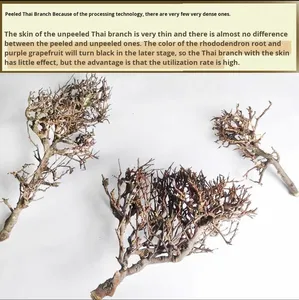 Drijfhout Braziliaanse boomstronk Thailand tak vislandschap speciaal voor kleine aquariumdecoratie woonkamer China OPp-9 - Product Image 5