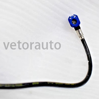 Conector de Chip de Unidad de Control Principal MCU OEM X172 Boardreach 21775874 OE 1098058-S0-M 1462554-S0-L 1566786-S0-E para Tesla Model 3