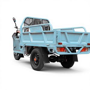 Tricycle électrique adulte à trois roues EEC COC, usage intensif, puissance >1000W, fourgonnette ouverte, utilisation passagers, charge utile 400kg, 60V - Product Image 5