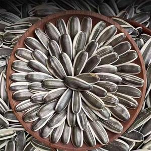 Nouvelle récolte, vente chaude, prix d'usine, <span class=keywords><strong>graines</strong></span> <span class=keywords><strong>de</strong></span> <span class=keywords><strong>tournesol</strong></span> séchées brutes <span class=keywords><strong>de</strong></span> haute qualité <span class=keywords><strong>de</strong></span> type 361 pour la consommation humaine - Product Image 2