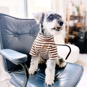 Veste de luxe pour chien, manteau de baseball de marque Pog, collection automne-hiver, en gros, à carreaux, épais et chaud, vêtements d'hiver pour petits chiens - Product Image 4