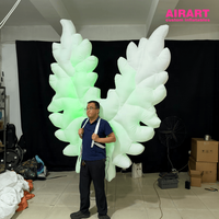 Ailes d'ange gonflables portables avec lumière LED, tissu Oxford 420D, marionnette à ailes gonflables pour défilé et spectacle sur scène