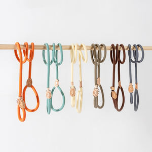 Laisse pour chien en polyester à motif uni, décorée de rubans, réglable, anti-traction, écologique, absorbant les chocs - Product Image 1