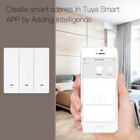 Interrupteur à bouton-poussoir intelligent Tuya Smart Home ZigBee3.0, commande à distance par application, hub Zigbee nécessaire, fonctionne avec Alexa