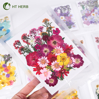 Mini-Vakuumverpackte Blütenblätter Rahmen Gepresste Konservierte Natürliche Pflanzen Getrocknete Blumen für Nägel Kerzen Harz Epoxid Handyhülle