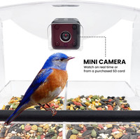 Mangeoires à oiseaux avec fenêtre en gros avec ventouses solides-Mini caméra et distributeur d'eau inclus Mangeoire à oiseaux en acrylique