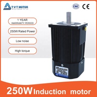 Contrôleur de vitesse de moteur AC 250W 220V avec moteur à régime réglable, arbre de 14 mm, moteur à induction AC monophasé pour mélangeur