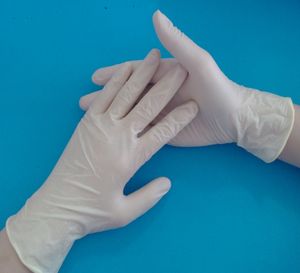 قفازات فحص اللاتكس مسحوق الصف الطبي المتاح للاستخدام في مستشفى عيادة الحيوانات استخدام الفحص - Product Image 2