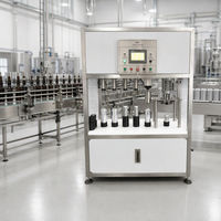 Machine de remplissage et de bouchage de bière pour bouteilles et canettes, 400 pièces/heure, 300/1000 ml, en acier inoxydable, pour brasserie artisanale et boissons