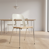 Chaise d'Appoint Moderne de Luxe Meubles de Loisirs de Haute Qualité pour Salon et Salle à Manger Hôtel-Construction Métallique Durable