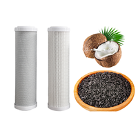 Ahlstrom 10 "20" 2.5 "4.5" elemen Filter komposit berlipat dengan cangkang kelapa kartrid Filter air karbon aktif