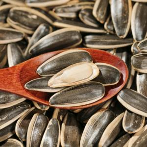 Semillas <span class=keywords><strong>de</strong></span> <span class=keywords><strong>Girasol</strong></span> Grandes y Saludables, Nueces al Mejor Precio en Bolsa <span class=keywords><strong>de</strong></span> 25 kg - Product Image 5
