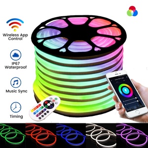 Striscia LED Neon RGB Intelligente WS2812B 120 LED/m DC5V, Illuminazione Indirizzabile Individualmente, Tubo in Gel di Silice - Product Image 2