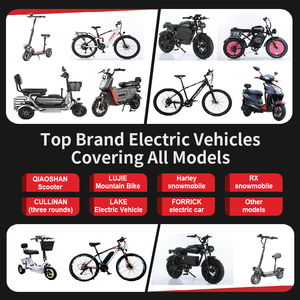 Motocicleta Eléctrica Retro de 48V 400W 46AH para Adultos, de Aluminio con Suspensión Completa y Neumáticos Anchos, Precio Económico - Product Image 5