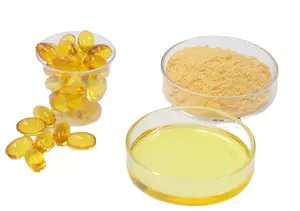 Wholesale Nutrition Ingredients DHA Algal Oil Manufacturer For Candy