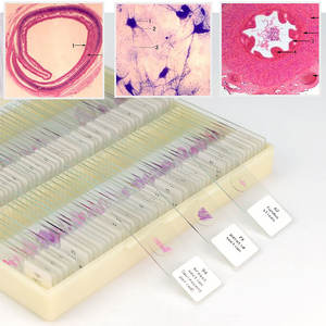 Ensemble de 100 lames de microscope préparées sur le thème de la pathologie humaine, utilisées par les médecins et les étudiants en médecine - Product Image 5