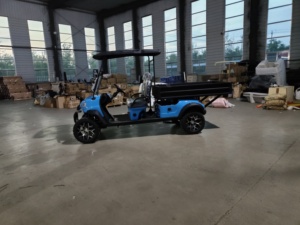 Carrito de Golf de 2 Plazas a Precio Económico al por Mayor, con Cubeta Hidráulica, Tracción en las 4 Ruedas, Batería de Litio y Aluminio - Product Image 5