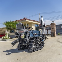Motoculteur à chenilles diesel Euro 5 pour verger avec moteur à engrenages et roulement de pompe