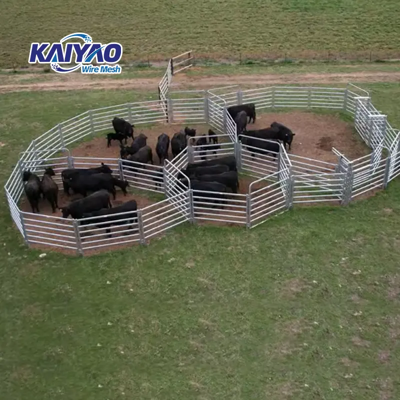 Hàng rào gia súc tròn ống mạ kẽm thân thiện với ngân sách, bao vây động vật hoặc hàng rào trang trại.