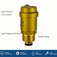 Système de valve d'évacuation d'air de type économique pour gain de place, avec corps en laiton et adaptateur de tuyau